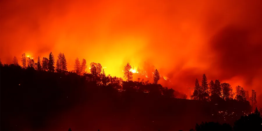 11292018-cawildfires-header.png